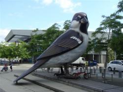 Giant Sparrow in the Vancouver Olympic Village, BC